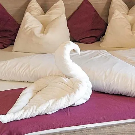 Hotel Zur Schonenburg 3*