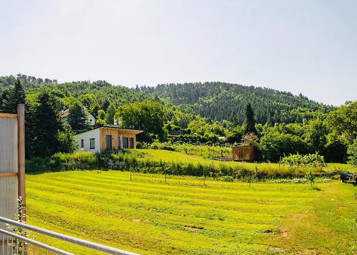 Zur Schonenburg Отель Schonberg am Kamp